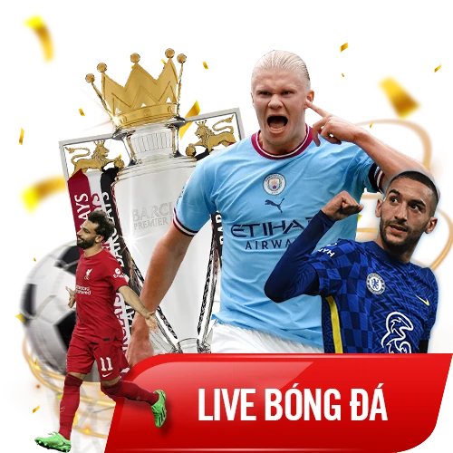 Live bóng đá với thông tin được sắp xếp thuận tiện